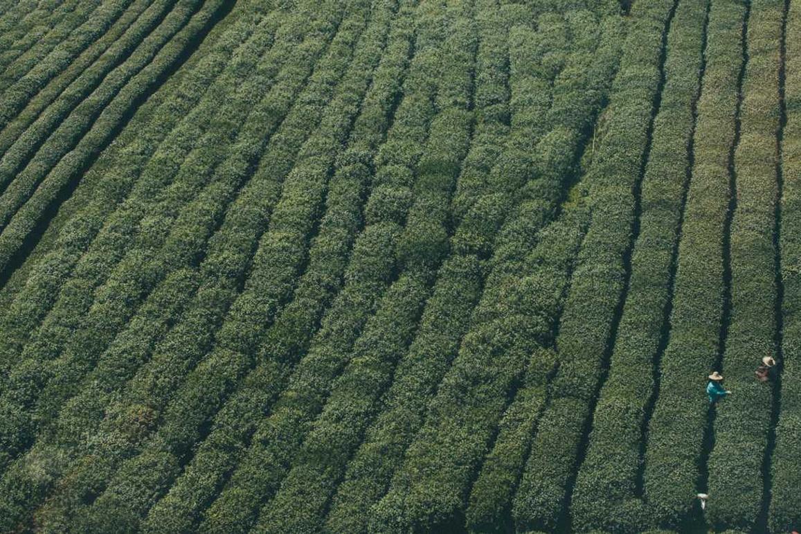 Sed unde odio rerum cupiditate totam sapiente libero