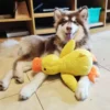 QuackBuddy Interactive Stomping Duck Dog Toy
