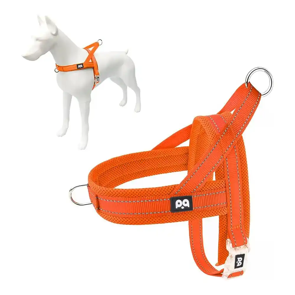 Exploring the World of Layers and Comfort - The Ultimate Guide to Types of Dog Harnesses
