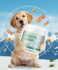 Bacon Taste Pet Mushroom Powder Natural High-Grade Ingredient Appetite Enhancer For Daily Nutrition Of Cats And Dog