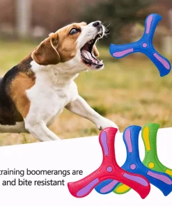 Alternative view of Boomerang Dog Toy